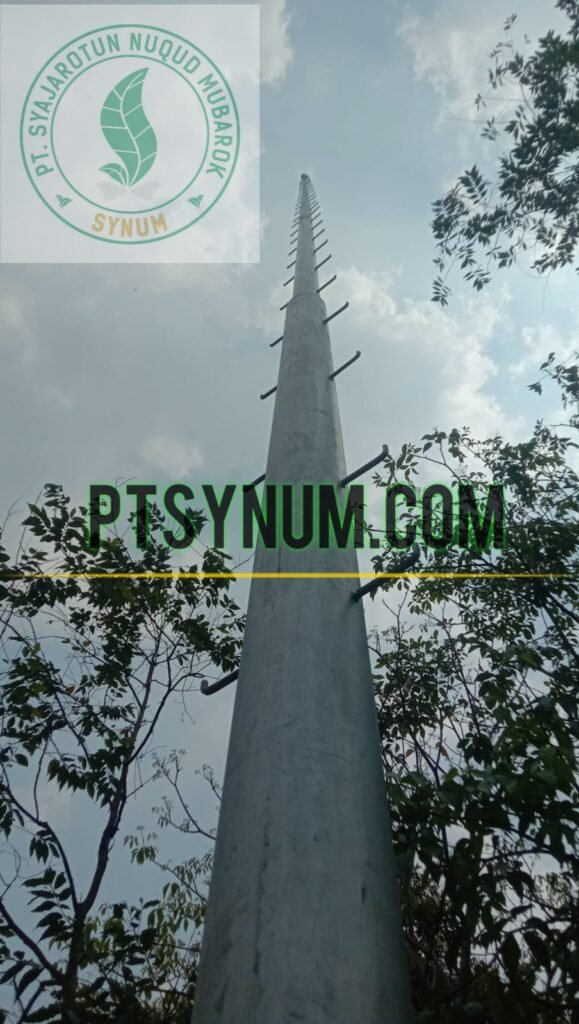 Photo_1788266968260 Harga pasang penangkal petir